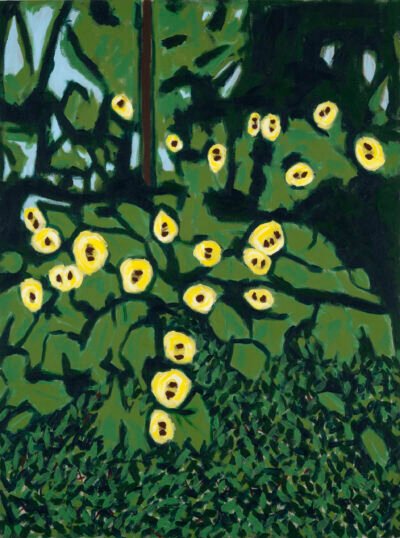 Hortencias II