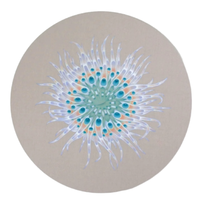 ANEMONAE
