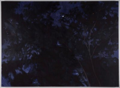 Cuando sale la luna