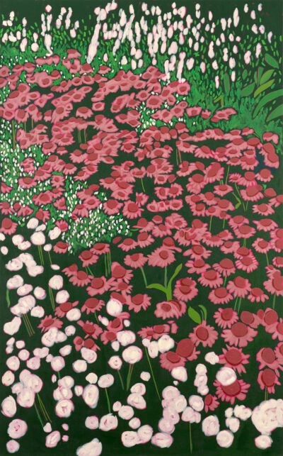 Wildflowers (Echinaceas) in full bloom